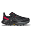 Hoka Löparskor One One W Speedgoat 5 GTX Ice Black / Black