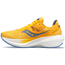 Saucony Naisten juoksukengät Triumph 20 Women