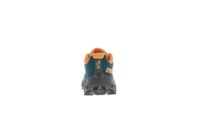 INOV-8 Naisten juoksukengät Rocfly G 350 W Pine/Nectar