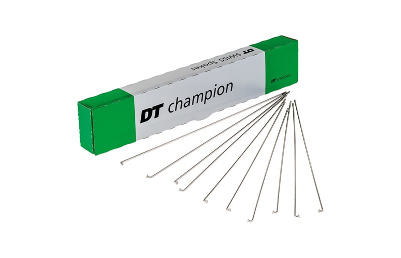 Pinna DT Swiss Champion 1kpl J-Bend Pyöreä Hopea