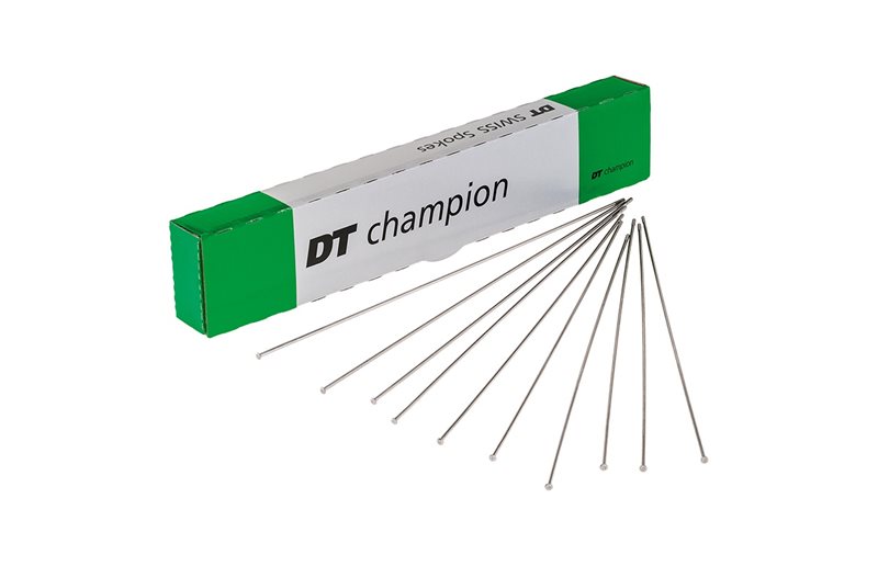 Pinna DT Swiss Champion 1kpl Straightpull Pyöreä Hopea