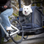 Hamax Cykelvagn Hund Pluto L