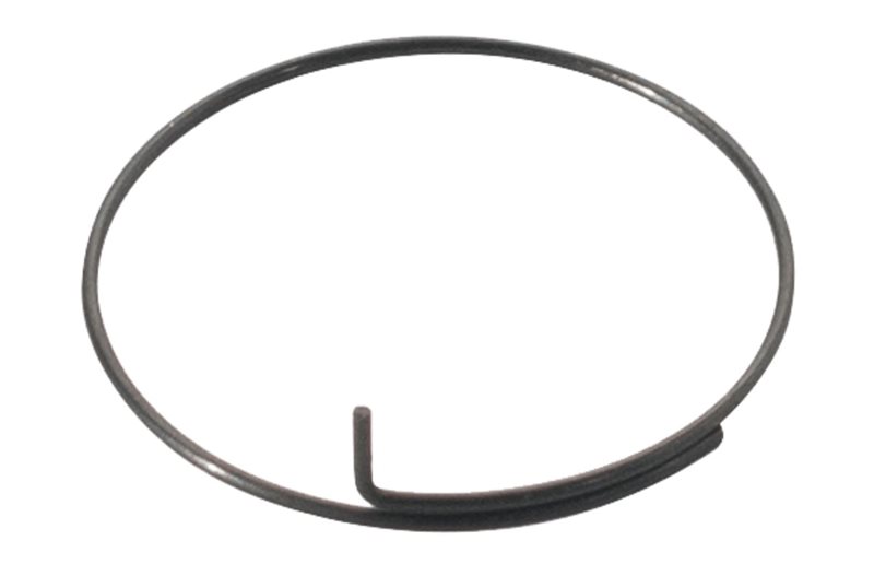 Bontrager Dt Swiss Onyx Pawl Spring