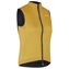 Mustard Yellow