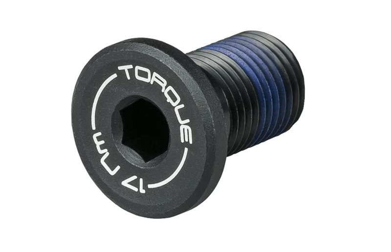 Trek Rocker Pivot Bolts M10 - Sort