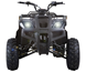 X-Pro Fyrhjuling Worker Atv 150Cc Svart Med Drag Black