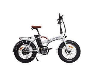 RAWBIKE Classic Elmoped 4X Snowstorm