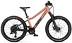 Barncykel Woom Off Air 4 20" Copper