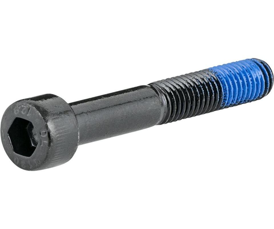 Trek Fetch+ 2 Kickstand Extension Bolt M8 x 55mm