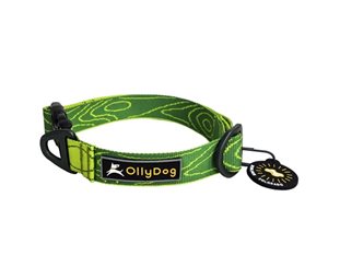 OllyDog Halsband Flagstaff Collar Sage Bark