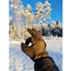 Heat Experience Varmehansker Heated Hunt Gloves