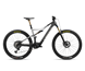 Orbea El Mtb Rise M-ltd Carbon Raw-Shark Grey (Matt)