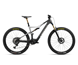 Orbea Sähkömaastopyörä Rise M-LTD Carbon Raw-Shark Grey (Matt)