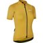 Mustard Yellow