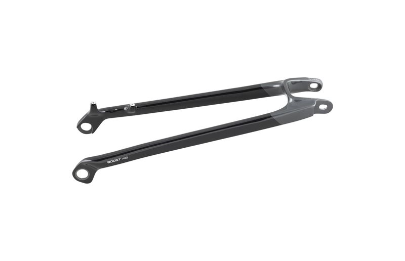 Trek Bakstag 2020-2023 Rail 29 Carbon Paint Match Seatstays 29"x2.6"