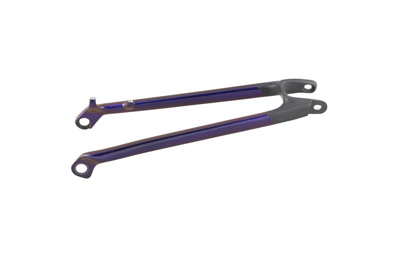 Trek Bakstag 2020-2023 Rail 29 Carbon Paint Match Seatstays 29"x2.6"
