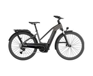 Sähköpyörä Cannondale Tesoro Neo X 1 Sth Grey