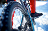 Schwalbe Piggdekk Ice Spiker Pro Winter Raceguard 57-622 (29x2.25")