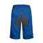 Signal Blue