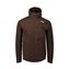 Axinite Brown