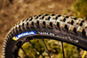 Maastorengas Michelin Wild AM2 Competition 61-584 (27.5x2.40")