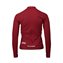 Garnet Red