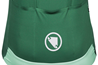 Endura Sykkeltrøye FS260 Print S/S Jersey Emeraldgreen
