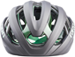 Giro Aries Spherical Helmet Metallic Coal/Space Green