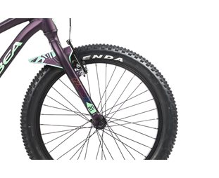 Orbea Lasten pyörä MX 20 Dirt Purple - Mint