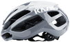Kask Protone Icon WG11 Helmet Grey