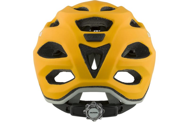Alpina Carapax Helmet Youth Burned/Yellow Matt