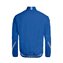 Signal Blue