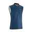 Insignia Blue