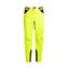 Neon Yellow