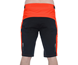 Cube Baggy Shorts Teamline Red