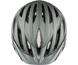 Alpina Gent MIPS Helmet Dark/Silver Matte