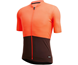 Santini Colore Riga SS Jersey Men Orange