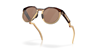 Oakley Sunglasses Hstn Dark Amber/Light Curry
