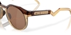 Oakley Sunglasses Hstn Dark Amber/Light Curry