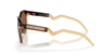 Oakley Sunglasses Hstn Dark Amber/Light Curry