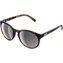TORTOISE BROWN/CLARITY ROAD/SUNNY S
