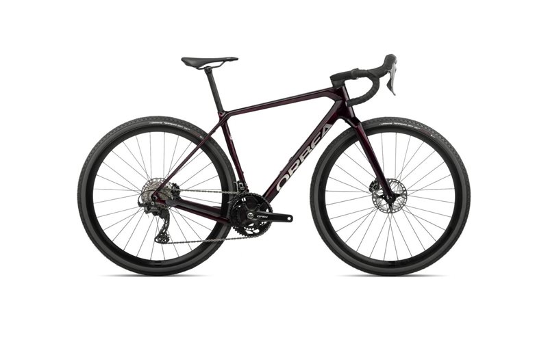Orbea MTB Rise H10 Wine Red Carbon View