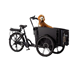 Cargobike Lådcykel Flex Dog Black
