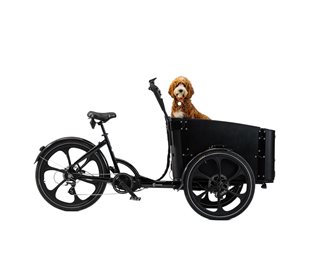 Cargobike Lådcykel DeLight Dog Black