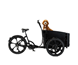 Cargobike Lådcykel DeLight Dog Black
