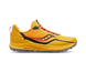 Saucony Peregrine 12