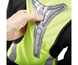 Elevate Led Running Vest