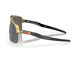 Oakley Urheilulasit Sutro Lite