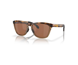 Oakley Frogskins Range Brown Tort (Prizm Tungsten Polar)