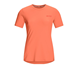 Cep The Run Shirt Round Neck Short Sleeve